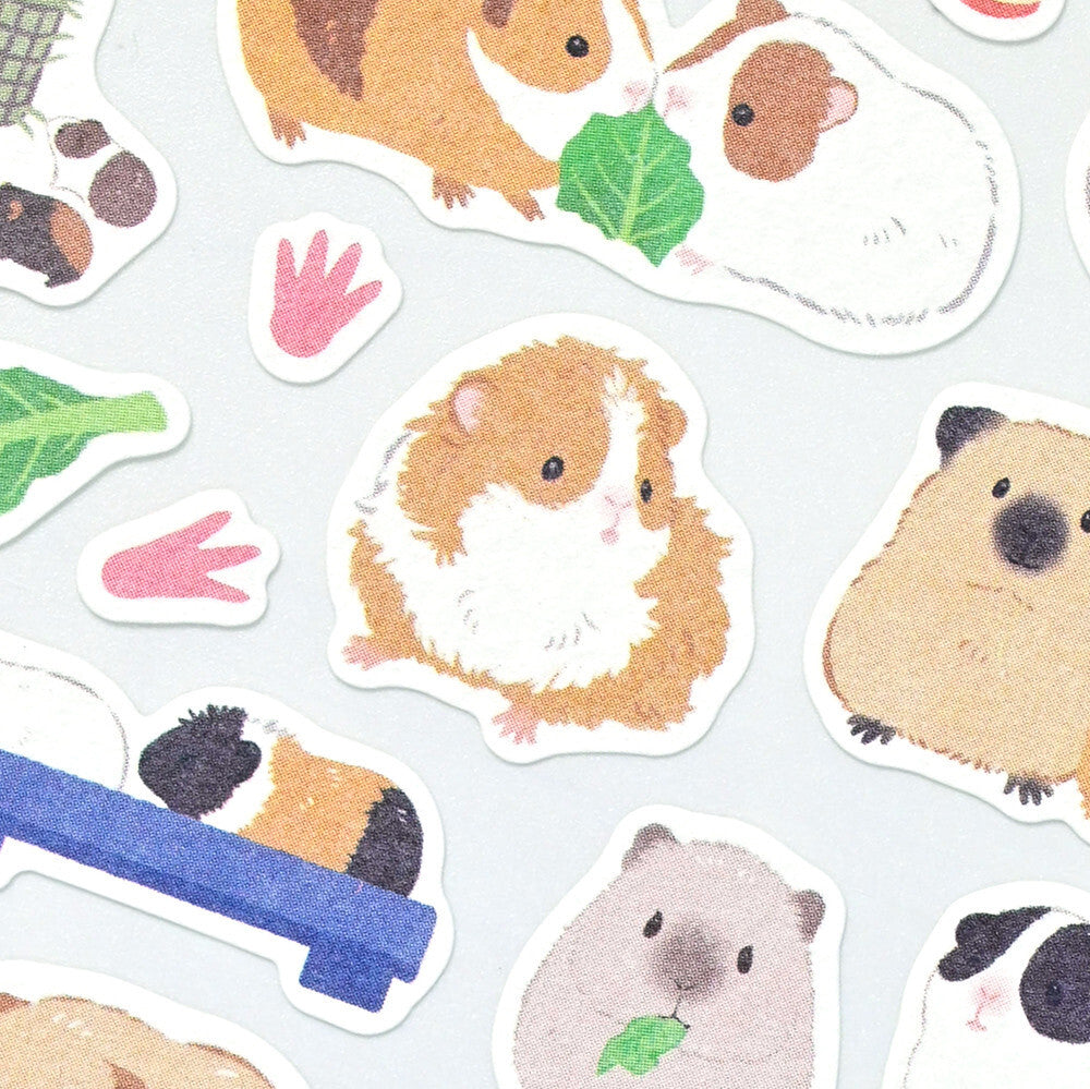 NB Co Sticker Sheet - Zoom-in Animal Guinea Pig