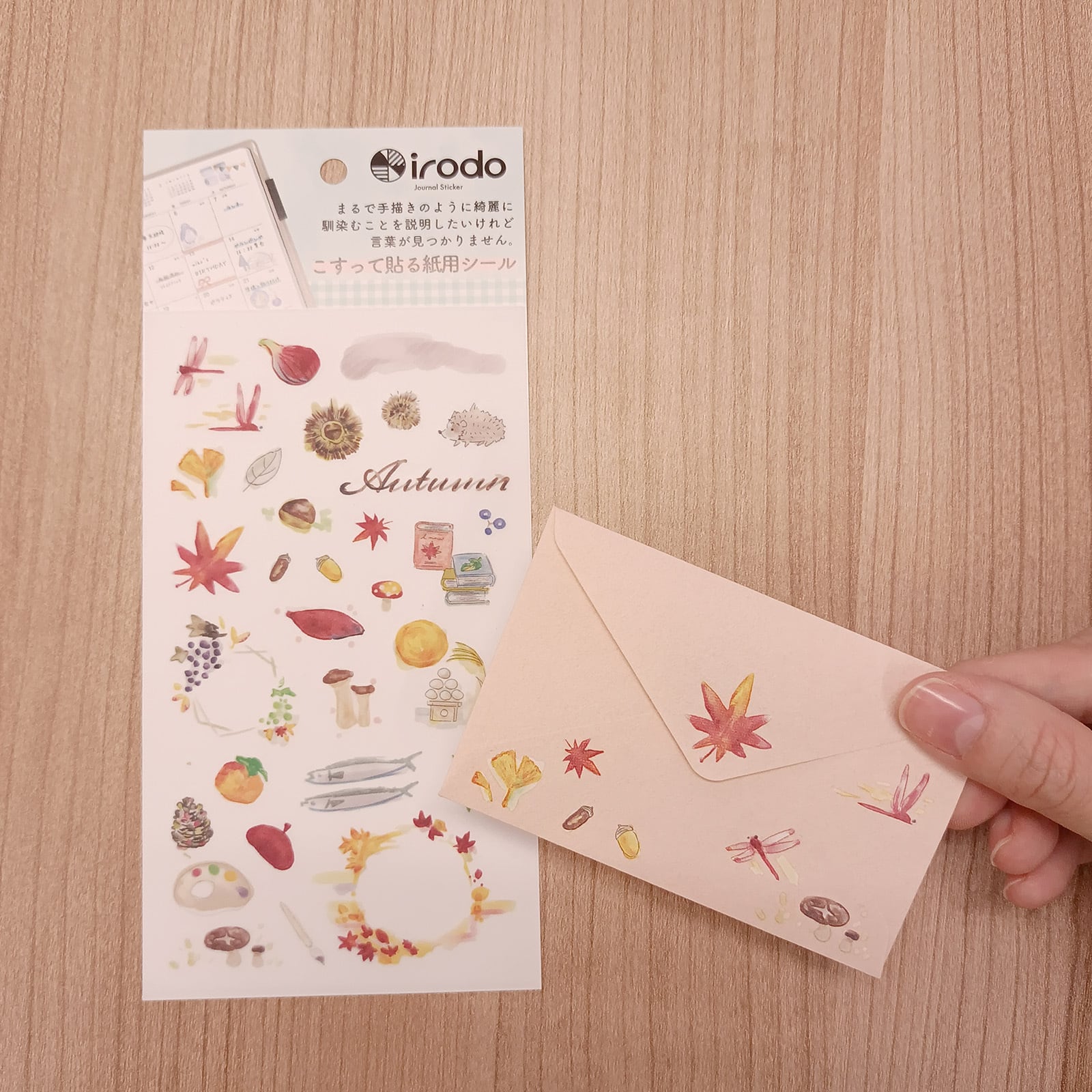 Irodo Paper Transfer Stickers - Autumn | Papermind Shop