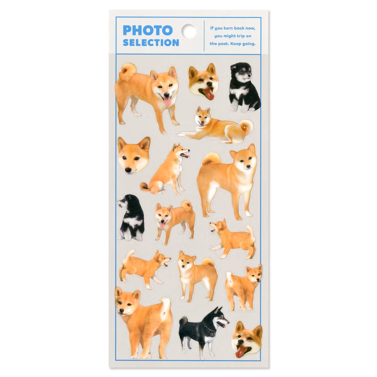Mind Wave Photo Selection Sticker Sheet - Shiba Inu | Papermind Stationery