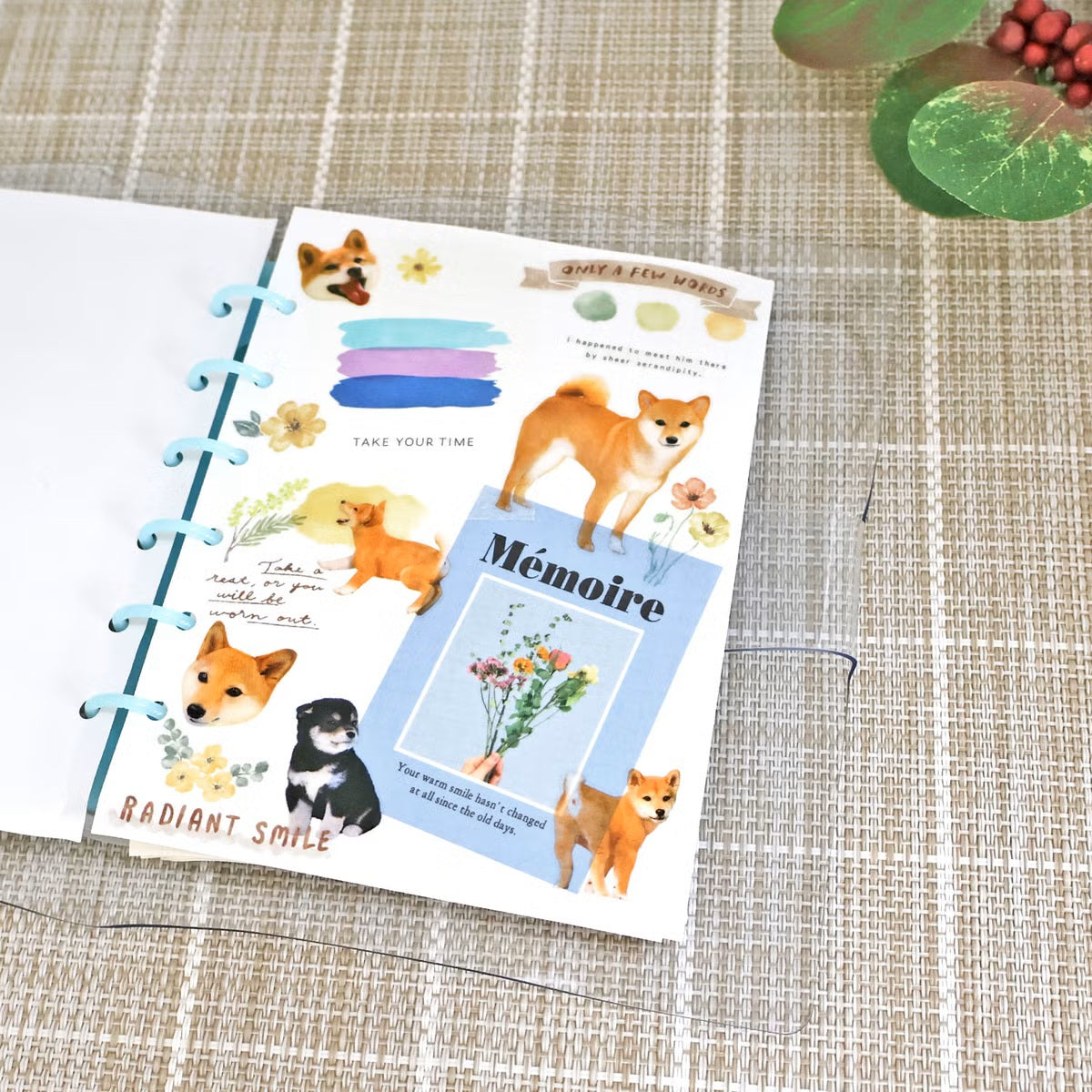 Mind Wave Photo Selection Sticker Sheet - Shiba Inu - Shop Sticker Sheets and Japanese Stationery at Papermind Stationery Shop