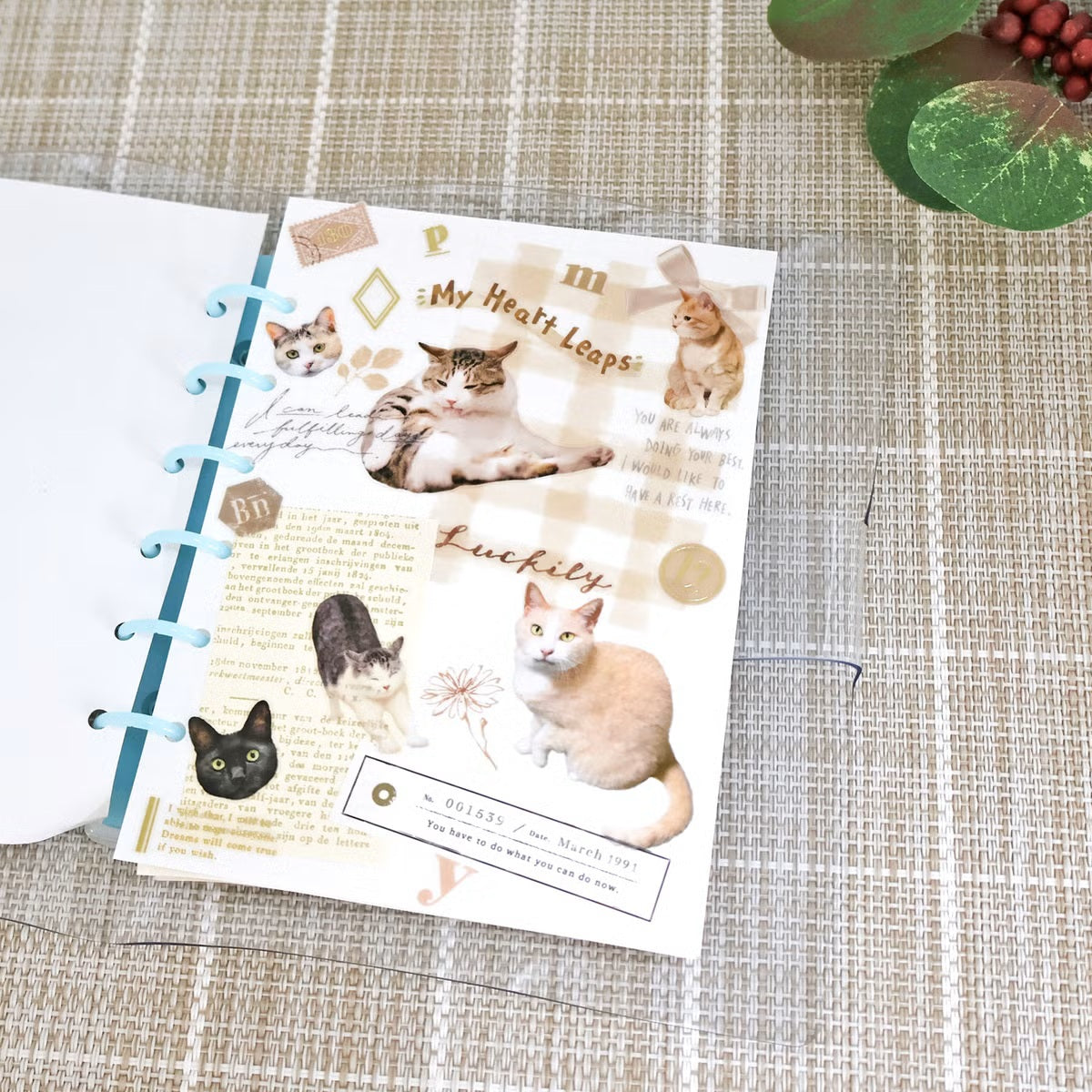 Mind Wave Photo Selection Sticker Sheet - Cat - Shop Sticker Sheets and Japanese Stationery at Papermind Stationery Shop