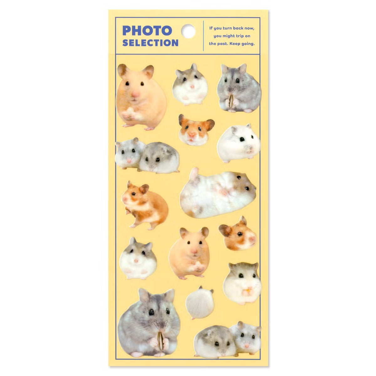 Mind Wave Photo Selection Sticker Sheet - Hamster | Papermind Stationery