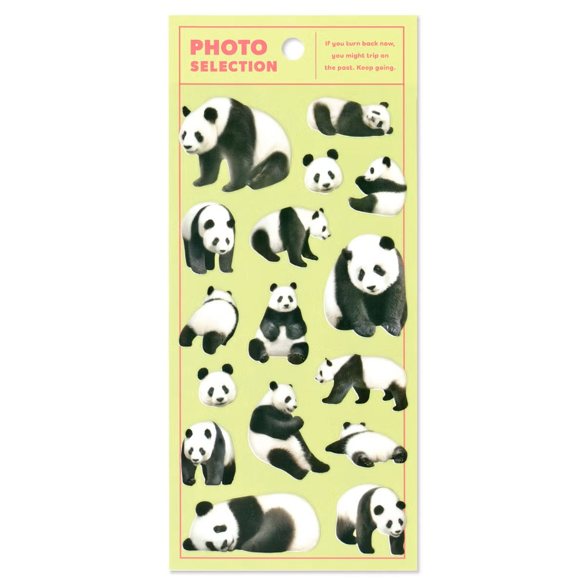 Mind Wave Photo Selection Sticker Sheet - Panda | Papermind Stationery