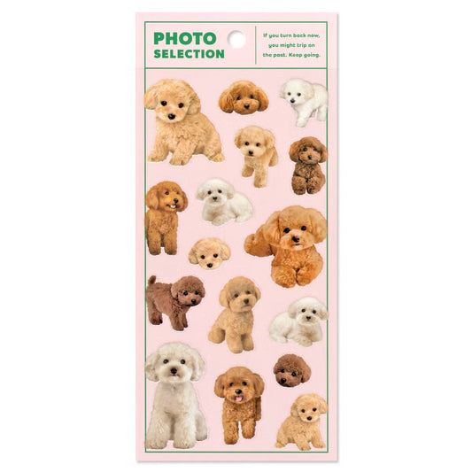 Mind Wave Photo Selection Sticker Sheet - Toy Poodle | Papermind Stationery
