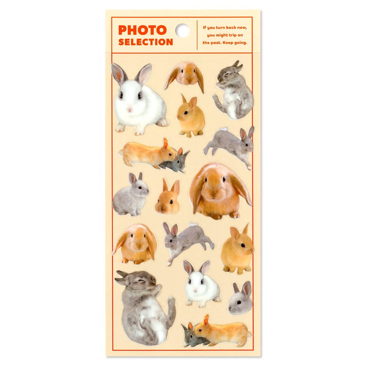 Mind Wave Photo Selection Sticker Sheet - Rabbit | Papermind Stationery