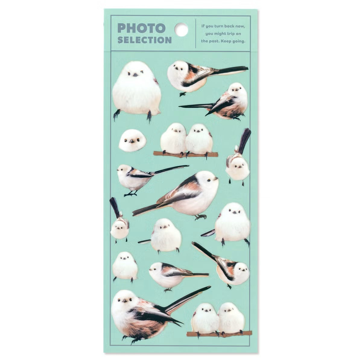 Mind Wave Photo Selection Sticker Sheet - Long-tailed Tit | Papermind Stationery
