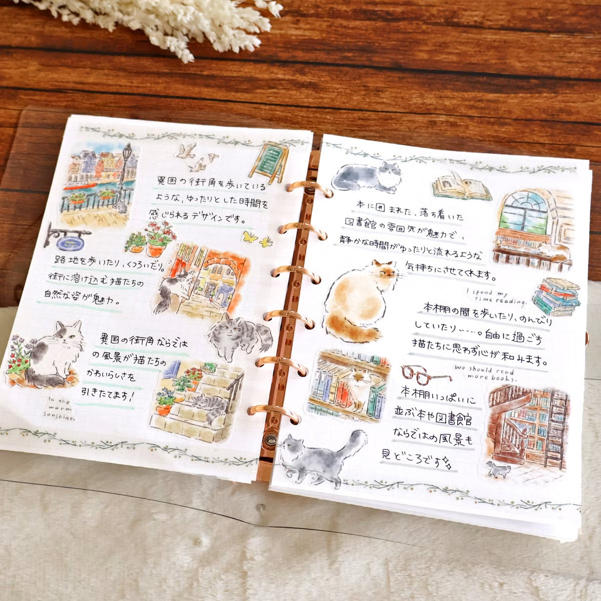 Mind Wave Nyankobiyori Sticker Sheet - Cat at Library - Shop Sticker Sheets and Japanese Stationery at Papermind Stationery Shop