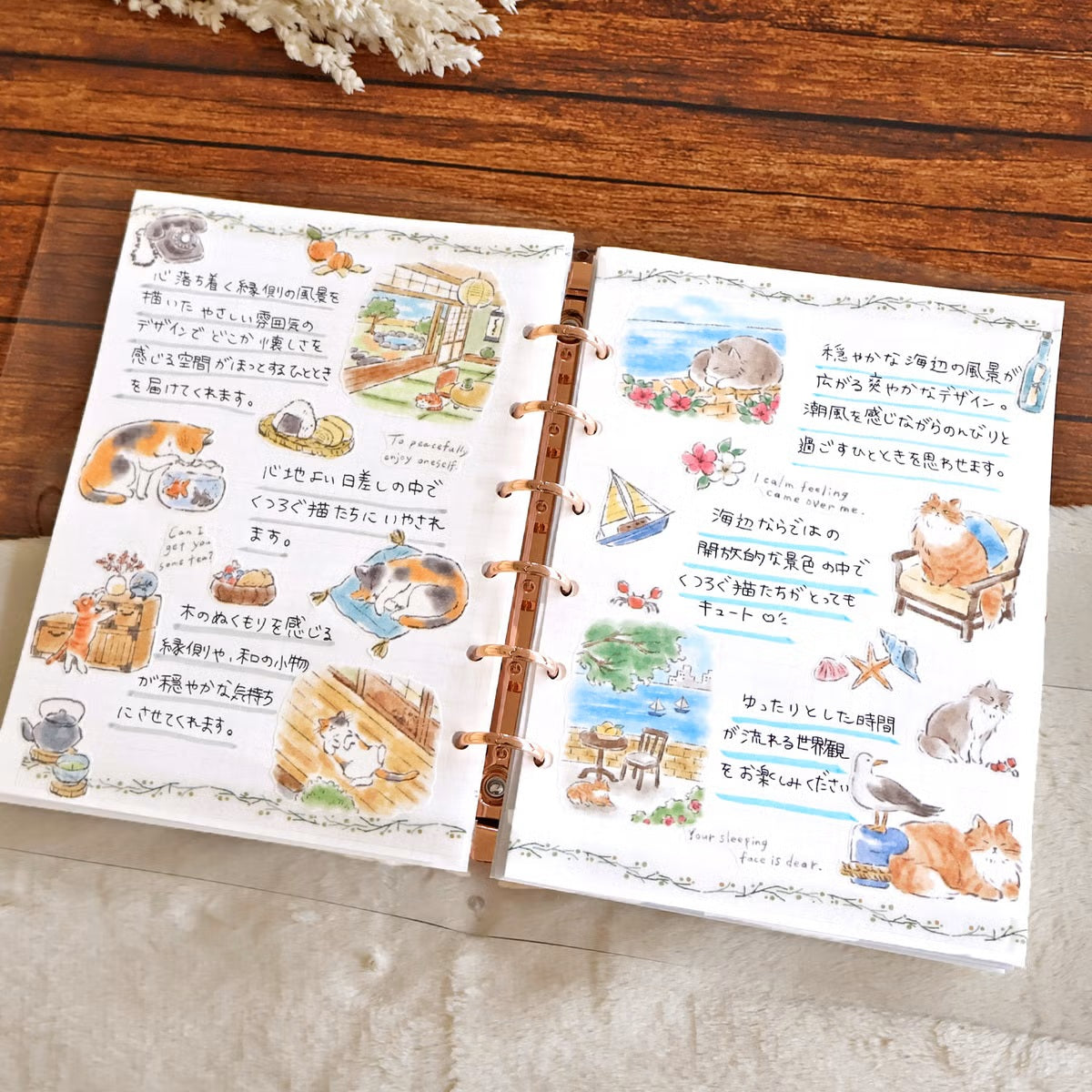 Mind Wave Nyankobiyori Sticker Sheet - Cat at Beach - Shop Sticker Sheets and Japanese Stationery at Papermind Stationery Shop