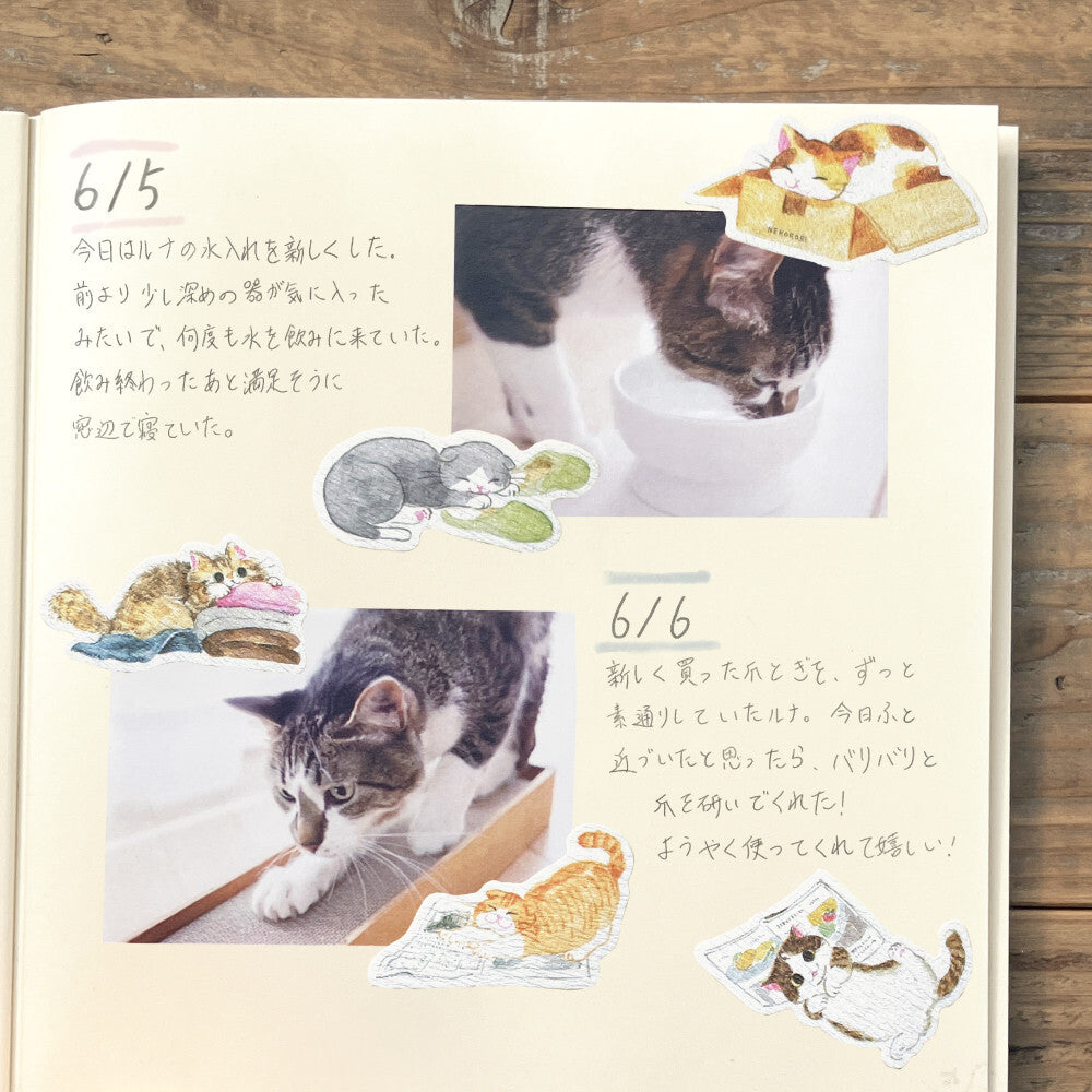 NB Co Nekorobi Flake Stickers - Cats Rolling Around