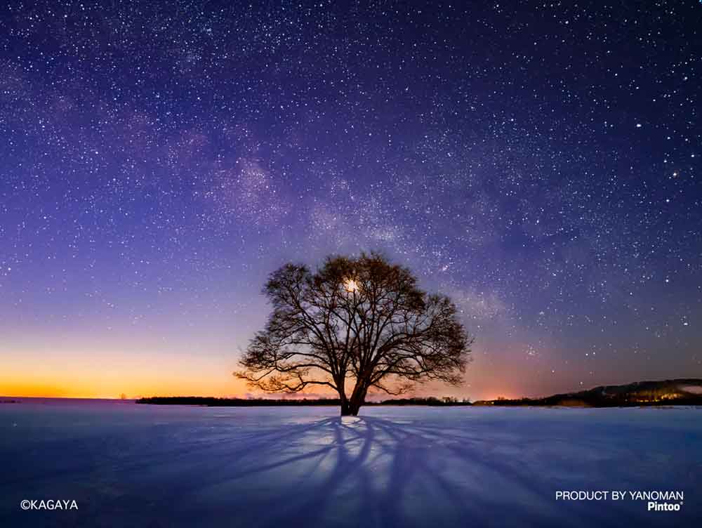 Yanoman Petit Paris Clear Jigsaw Puzzle 150 Pcs - Kagaya Natureelm Tree And Milky Way | Papermind Stationery
